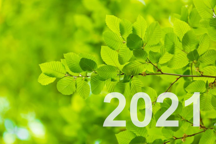 Leistungsübersicht Nachhaltigkeit 2021