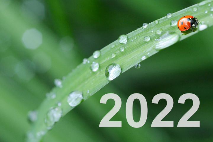 Leistungsübersicht Nachhaltigkeit 2022