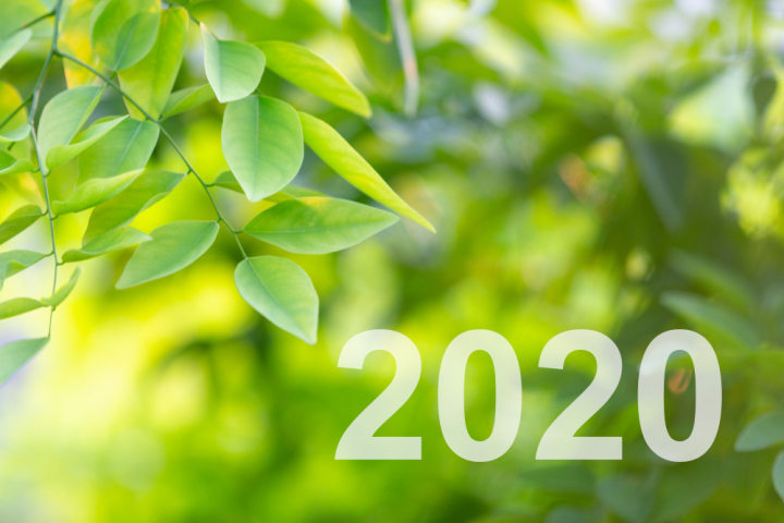 Leistungsübersicht Nachhaltigkeit 2020