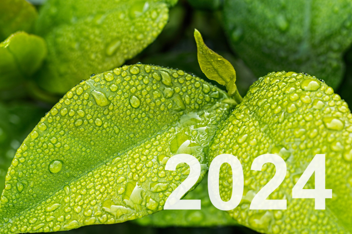 Leistungsübersicht Nachhaltigkeit 2024